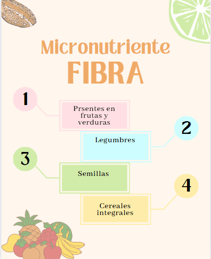 Consumo de Fibra: un Macronutriente Clave para tu Salud